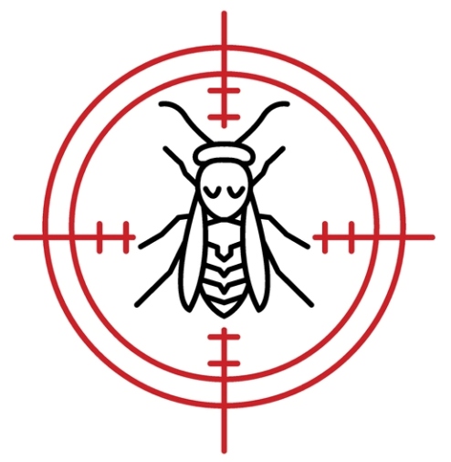 הדברת צרעות